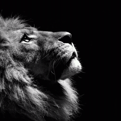 Bible profile picture for @Juninho
