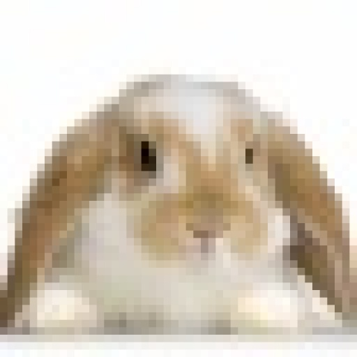 Bible profile picture for @bunny