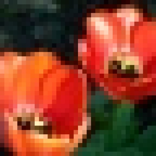Bible profile picture for @clearwater