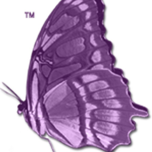 Bible profile picture for @Metamorphosis